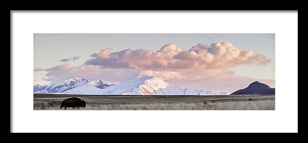 Sunset Framed Print featuring the photograph Antelope Island Sunset by Scott Ricks