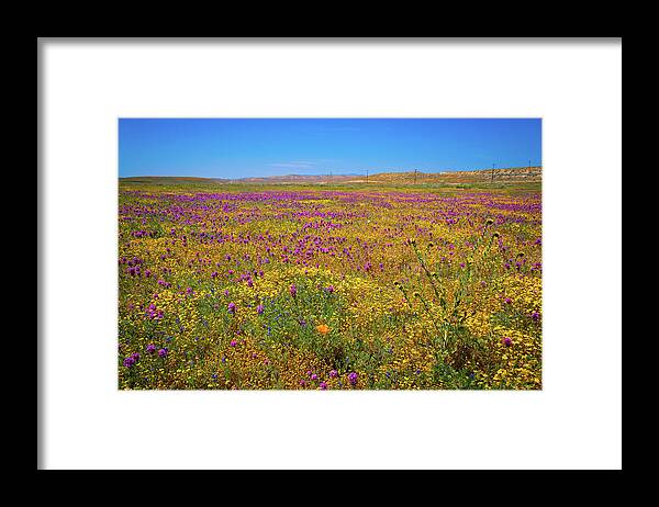 Antelope Valley Framed Print featuring the photograph Antelope Valley Superbloom 2017 by Lynn Bauer