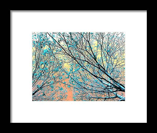 Tree Framed Print featuring the photograph Anticipating More Good Feelings Of Warmth by Andy Rhodes