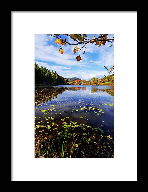 Anticipation Framed Print featuring the photograph Anticipation by Chad Dutson