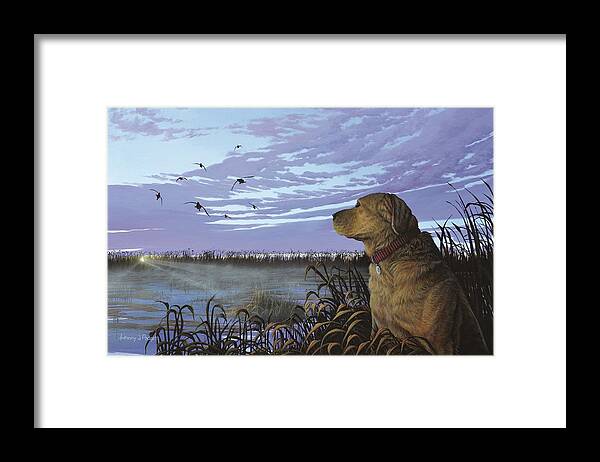Yellow Lab Framed Print featuring the painting On Watch - Yellow Lab by Anthony J Padgett