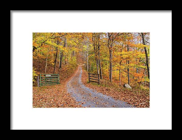 Fall Foliage Framed Print featuring the photograph Appalachian Autumn by Jurgen Lorenzen