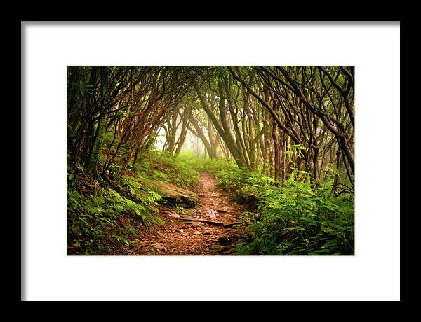 Hiking Framed Print featuring the photograph Appalachian Hiking Trail - Blue Ridge Mountains Forest Fog Nature Landscape by Dave Allen