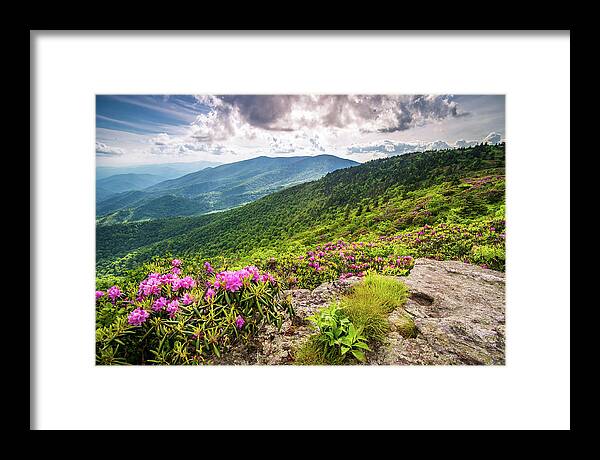 Spring Framed Print featuring the photograph Appalachian Trail NC TN Grassy Ridge Rhododendron Bloom by Robert Stephens
