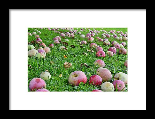 Close-up Framed Print featuring the photograph Apple rain by Felicia Tica