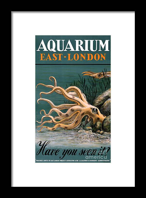 Octopus Framed Print featuring the painting Aquarium Octopus Vintage Poster Restored by Vintage Treasure