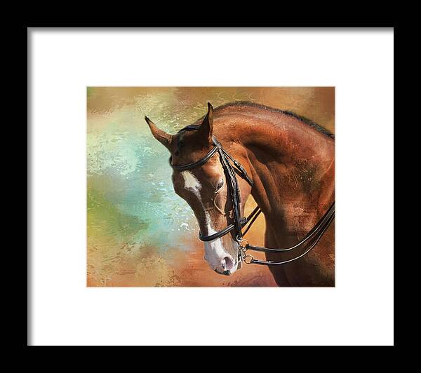 Horse Framed Print featuring the photograph Arabian Horse by Theresa Tahara