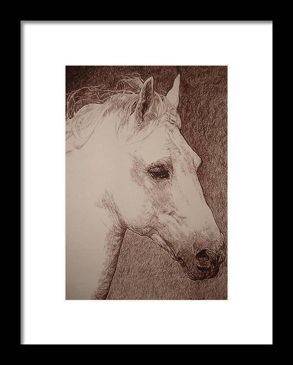 Horse Framed Print featuring the drawing arabian horse XVI by Desimir Rodic