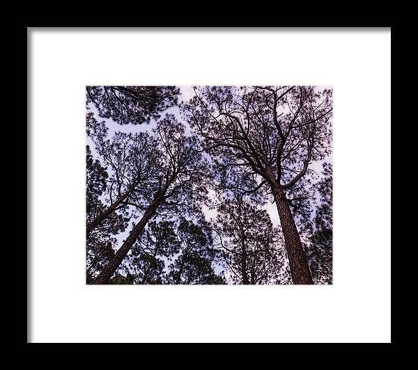 Unique Framed Print featuring the photograph Arbor Art by Gary Migues