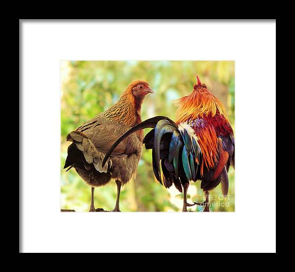 Wildlife Framed Print featuring the photograph Are You Listening by Jan Gelders