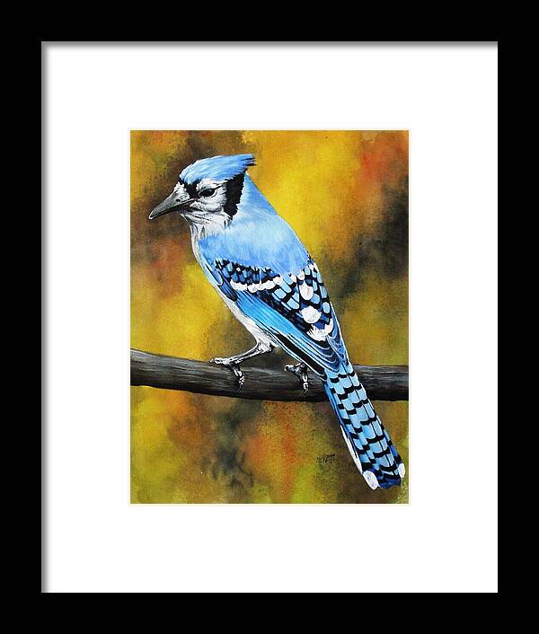 Common Bird Framed Print featuring the painting Aristocrat by Barbara Keith