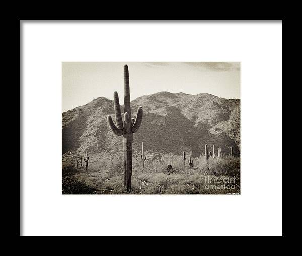 White Tank Sunset Framed Print featuring the photograph Arizona Desert by Two Hivelys