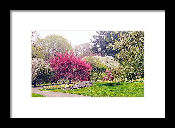 Spring Framed Print featuring the photograph Arrival Of Spring by Jessica Jenney