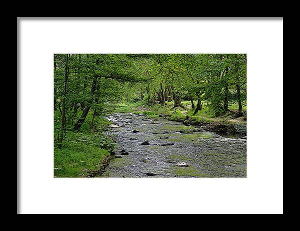 Art Framed Print featuring the photograph Art in The Forest by Milena Ilieva