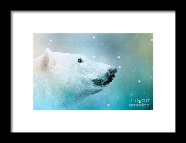 Polar Bear Framed Print featuring the photograph Artic Polar Bear by Janette Boyd