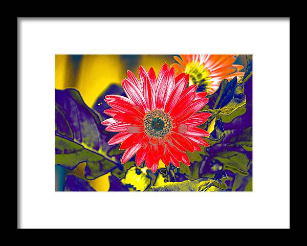 Artistic Framed Print featuring the photograph Artistic Bloom - PLA227 by Gordon Sarti