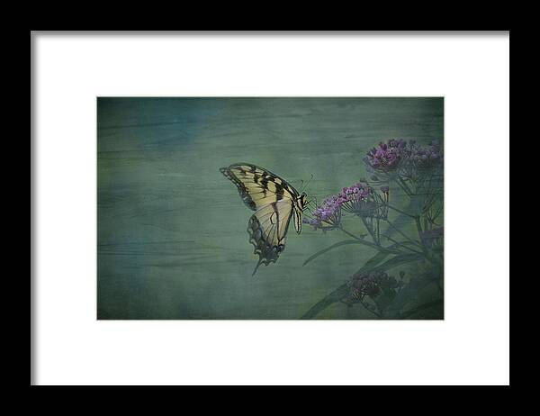 Swallowtail Framed Print featuring the photograph Artistic Eastern Tiger Swallowtail 2017-1 by Thomas Young