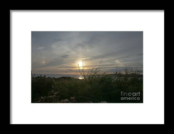 Setting Sun Framed Print featuring the photograph As grass under the sun by Elena Perelman