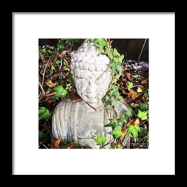 Buddha Framed Print featuring the photograph As One by Denise Railey