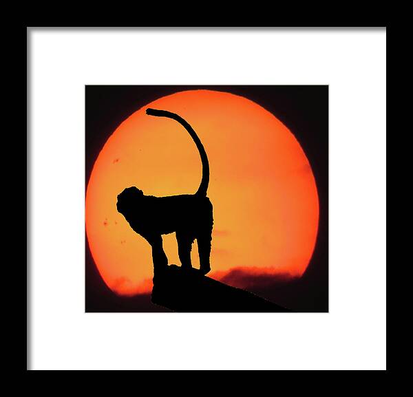 Vector Framed Print featuring the photograph As the day ends by Martin Newman