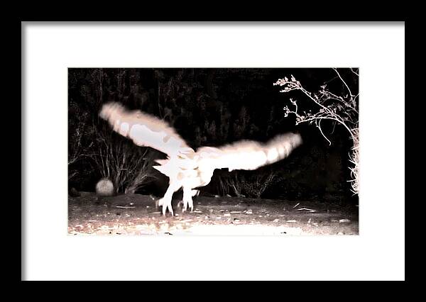 After Dark Framed Print featuring the photograph Ascension After Dark by Judy Kennedy