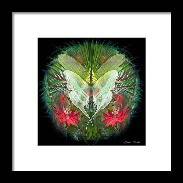 Botanical Framed Print featuring the photograph Ascent by Bruce Frank
