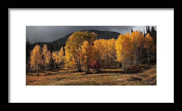 Aspen Framed Print featuring the photograph Aspen Glow Panorama by Dan Norris