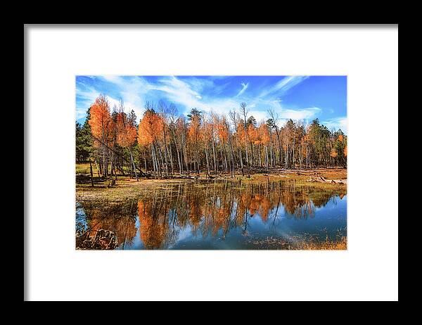 Aspen Framed Print featuring the photograph Aspen Reflections 1 by Michael Newberry