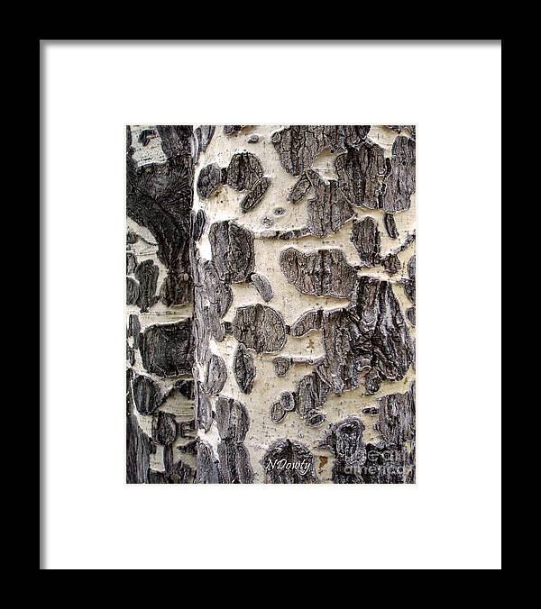 Macro Aspen Bark Framed Print featuring the photograph Aspen Scars by Natalie Dowty