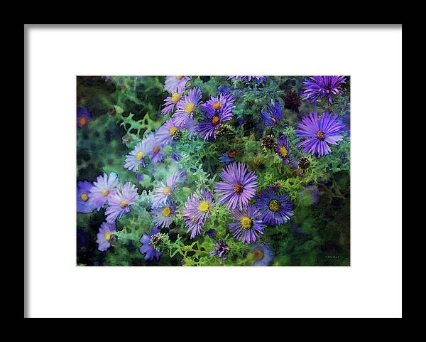 Aster Framed Print featuring the photograph Aster 4468 IDP_2 by Steven Ward