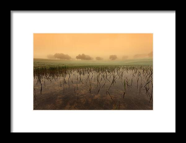 Jorgemaiaphotographer Framed Print featuring the photograph At dawn by Jorge Maia
