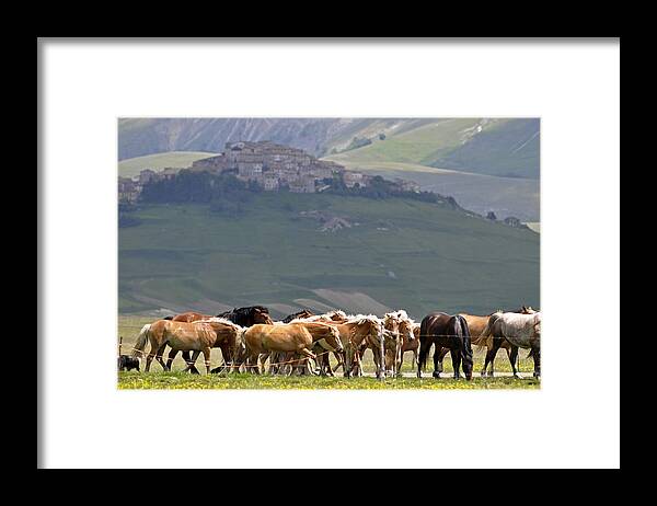 Nature Framed Print featuring the photograph Castelluccio di Norcia, Parko Nazionale dei Monti Sibillini, Italy by Dubi Roman