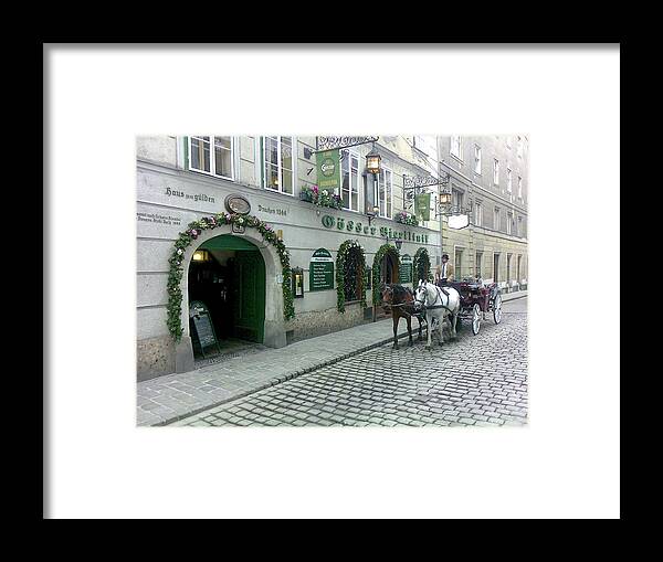 Vienna Framed Print featuring the photograph At The Golden Dragon's House by Evelyn Tambour