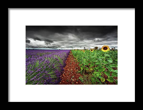 Landscape Framed Print featuring the photograph At the middle by Jorge Maia
