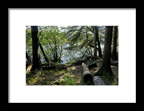 Beecraigs Framed Print featuring the photograph At the water edge. by Elena Perelman