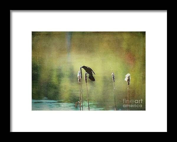 Aimelle Photography Framed Print featuring the photograph At This Moment by Aimelle Ml