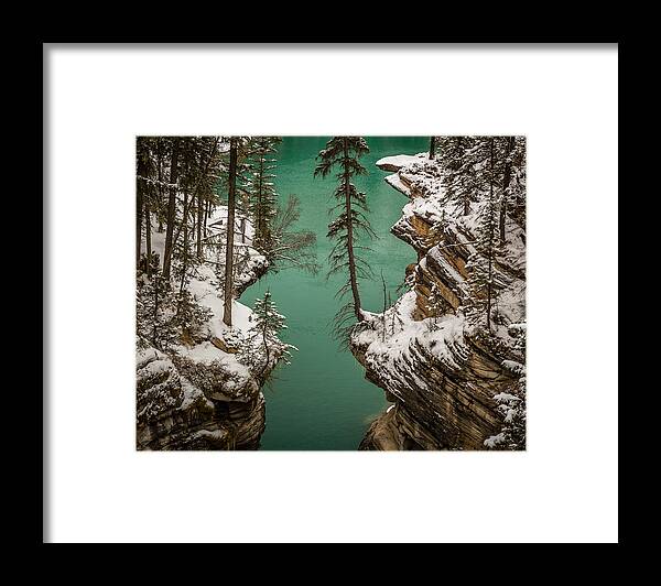 Trees Framed Print featuring the photograph Athabasca Art by Gary Migues
