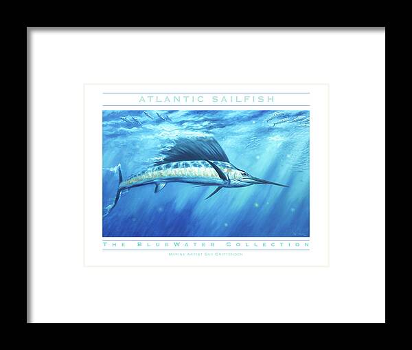 Sailfish Art Framed Print featuring the painting Atlantic Sailfish by Guy Crittenden