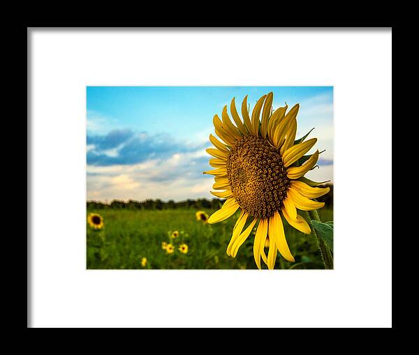 August Icon Prints Framed Print featuring the photograph August Icon by John Harding