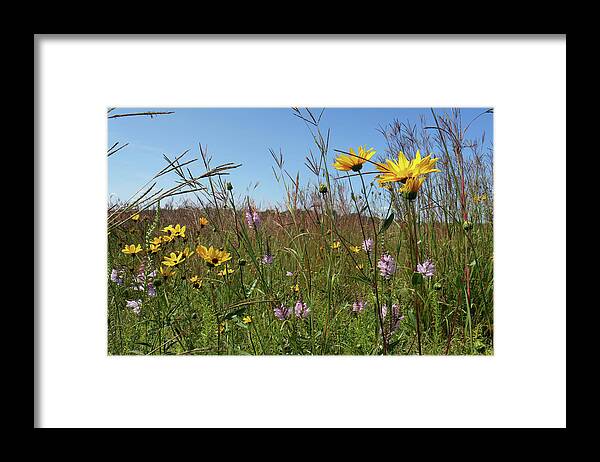 Prairie Framed Print featuring the photograph August Prairie by Scott Kingery