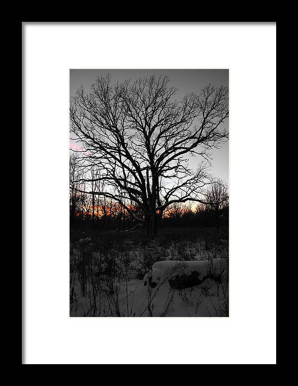 Color Desaturation Framed Print featuring the photograph Aura by Dylan Punke
