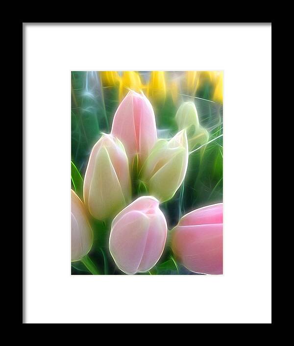 Image Created On Instagram Via @kmessmer53 Framed Print featuring the photograph Aura of Tulip by Kathleen Messmer