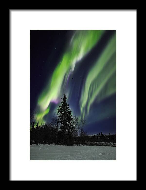 Alaska Framed Print featuring the photograph Aurora Grasp by Ed Boudreau