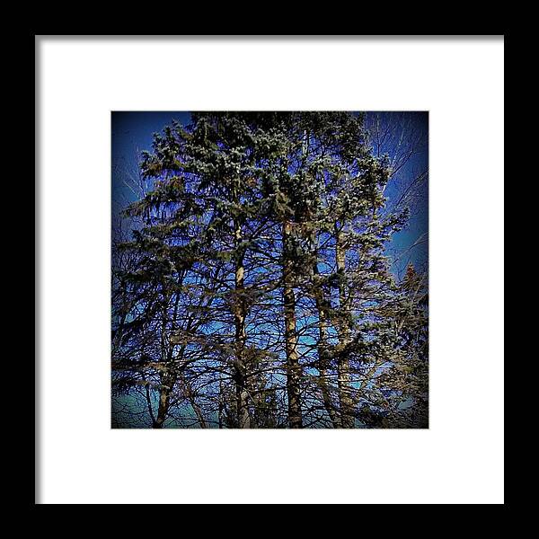 Photography Framed Print featuring the photograph Authenticity by Frank J Casella