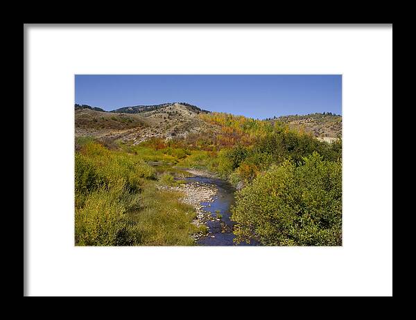 Colors Framed Print featuring the photograph Autum Stream by Mark Smith