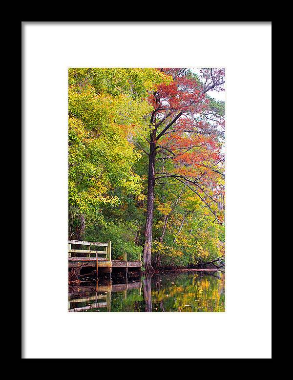 Fall Framed Print featuring the photograph Autumn Along Brices Creek by Bob Decker
