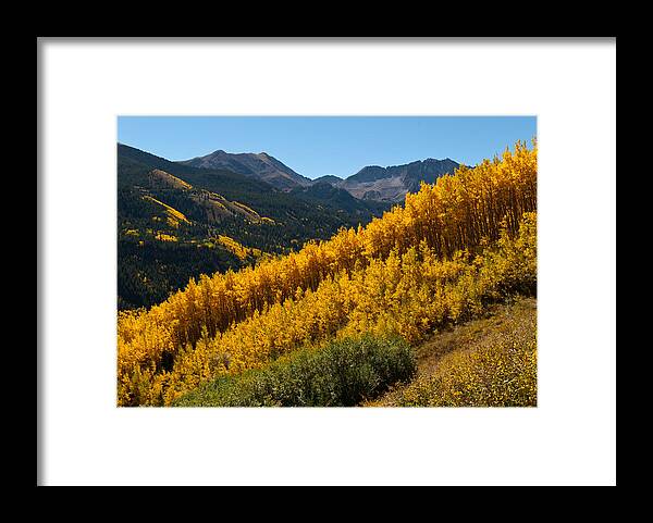 Autumn Framed Print featuring the photograph Autumn Aspen Near Castle Creek by Cascade Colors