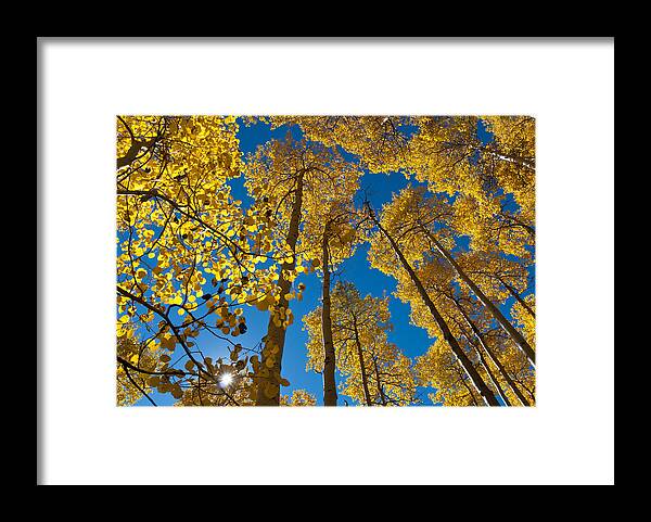 Autumn Framed Print featuring the photograph Autumn Aspen with Sunburst by Cascade Colors