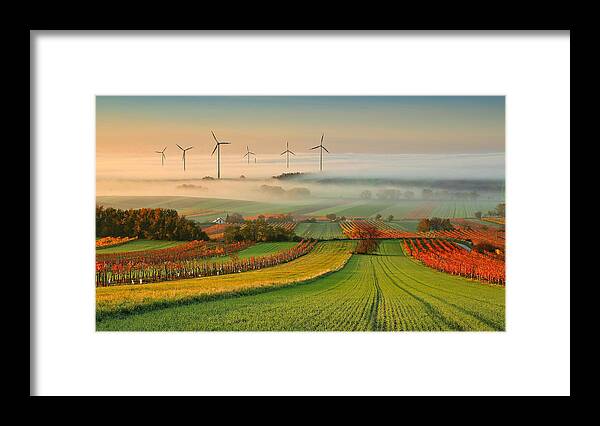 #faatoppicks Framed Print featuring the photograph Autumn Atmosphere In Vineyards by Matej Kovac