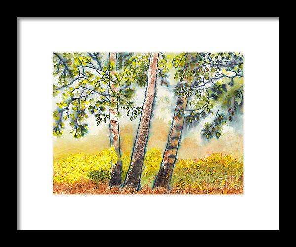 Autumn Birch Trees Framed Print featuring the mixed media Autumn Birch Trees by Conni Schaftenaar